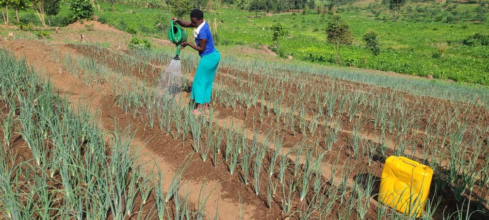 Ugandan women leading environmental conservation in the garden