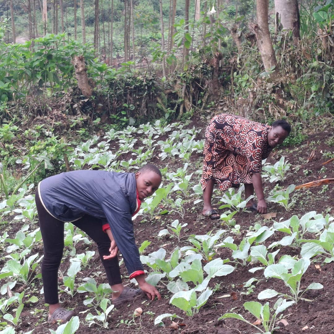 Cultivating
Climate Resilience