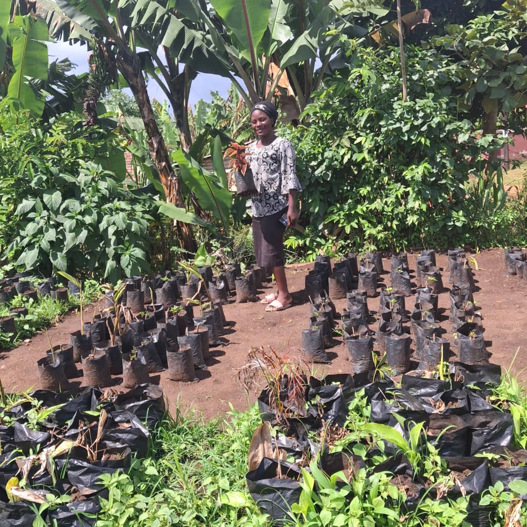 Pioneering
Green Futures